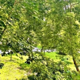 Продажа 3-комн квартиры на вторичном рынке Яковоапостольский переулок,  д. 17