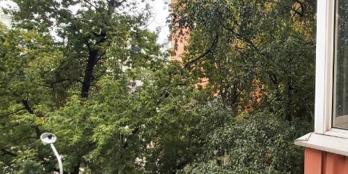 1-комн квартира переулок Посланников, 11/14