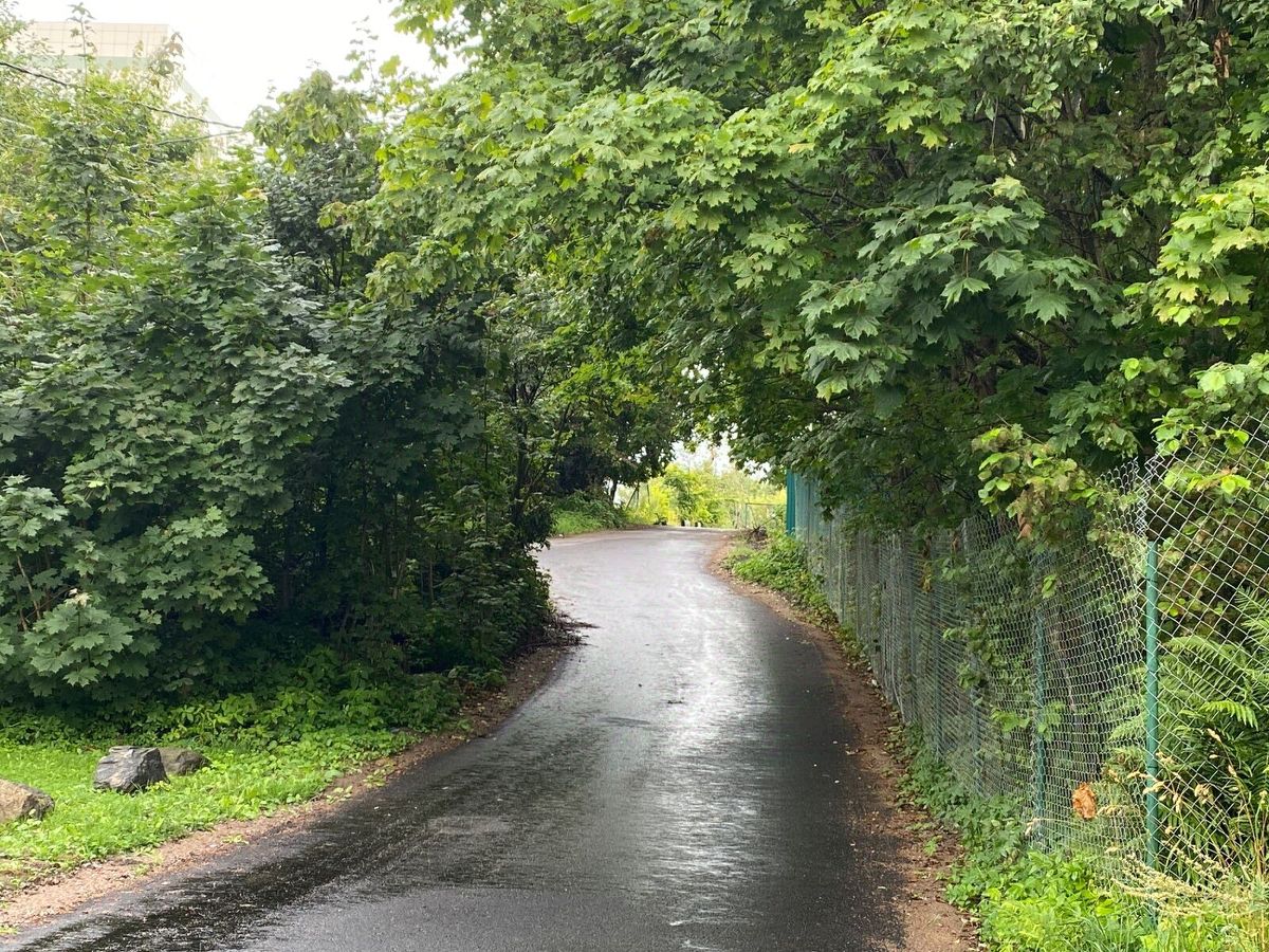 Продажа земли Токсово городской поселок, улица Советская