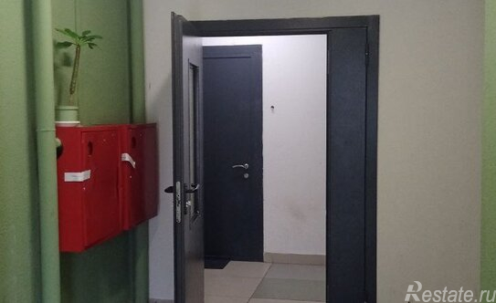 Продажа 1-комн квартиры на вторичном рынке Сапроново д, Северный (Купелинка мкр) кв-л,  д. 17