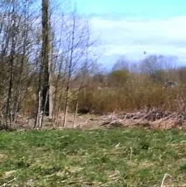 Продажа земли д. Лопино, 9