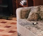 Сдать в аренду Комнаты в квартирах Налесный переулок, 9/11   