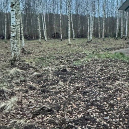 Коттедж/дом Березовая Долина СНТ, улица Плодовая