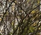 Продать Квартиры вторичка улица Жени Егоровой, 5К1   