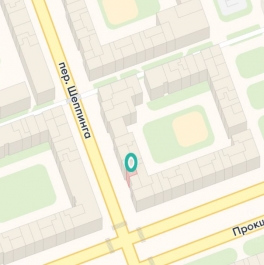 Аренда торгового помещения Прокшинский проспект