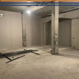 Продажа ПСН ул Ефимова,  д. 2