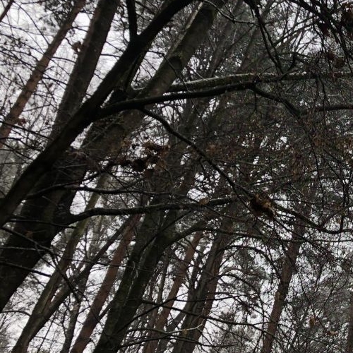 2-комн квартира пос. Барвиха, 8