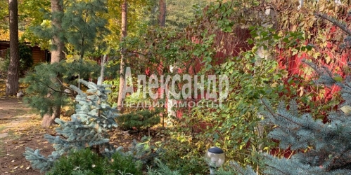 Коттедж/дом Сестрорецк г., Тарховский просп.,  д. 15