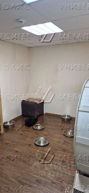 Аренда ПСН ул Свободы,  д. 30