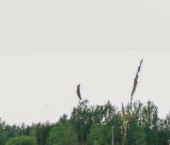 Продать Земельные участки, земля д. Матокса, улица Западная   