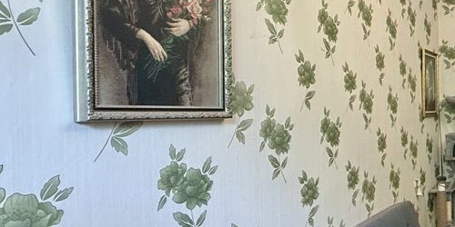 3-комн квартира Пушкин, улица Радищева, 25/14