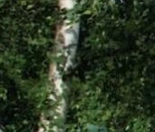 Продать Дачи, коттеджи, загородные дома Лебяжье городской поселок, улица Костылева, 1   