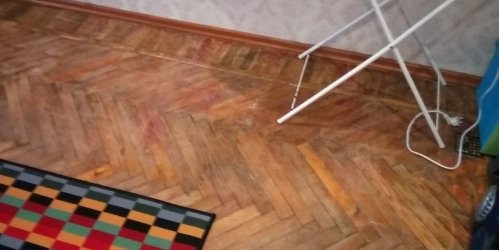 Комната 1-Муринский пр,  д. 19