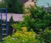 Продать Дачи, коттеджи, загородные дома Выборжец-36 СНТ  277 