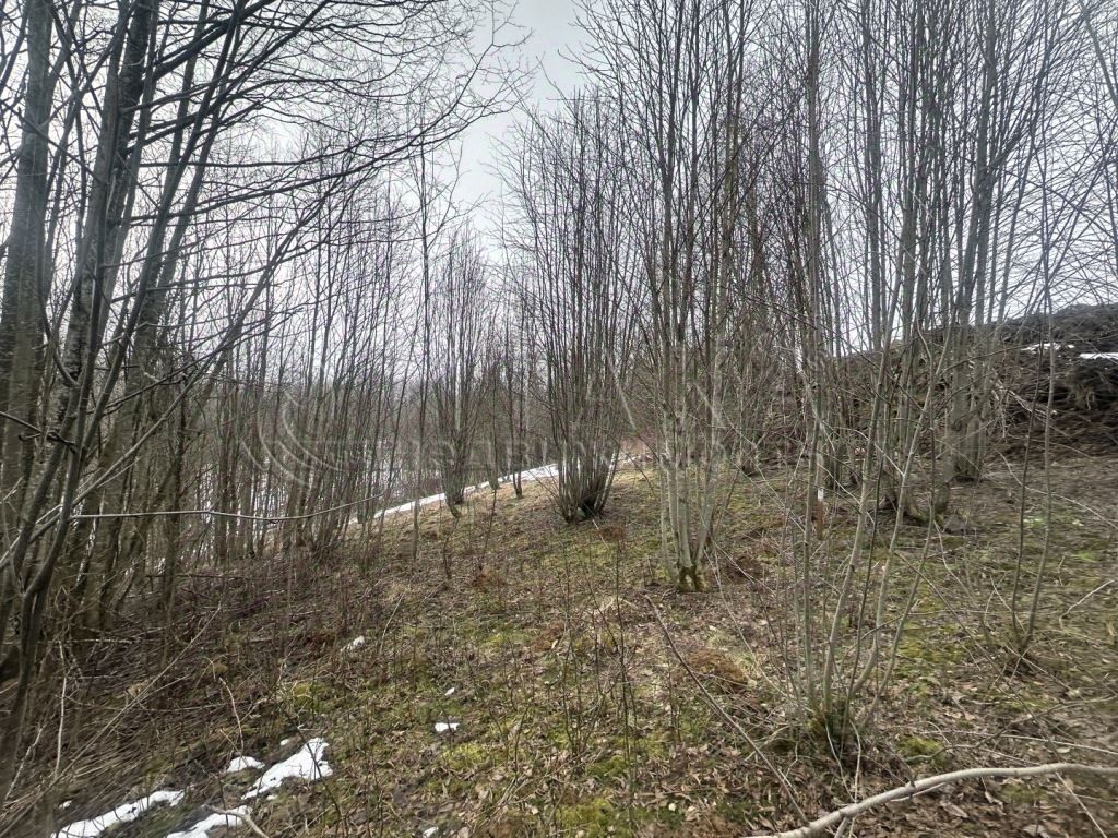 Продажа земли Токсово городской поселок, улица Центральная,  д. 30