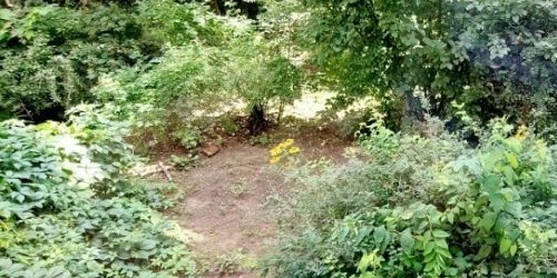 1-комн квартира Сестрорецк, улица Воскова, 11