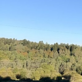 Аренда 3-комн квартиры на вторичном рынке пос. Парголово, Заречная улица, 15к1 Аренда 3-комн квартиры на вторичном рынке пос. Парголово, Заречная улица, 15к1