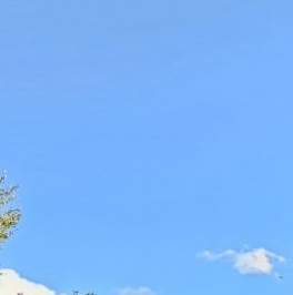 Продажа 1-комн квартиры на вторичном рынке Клинская улица, 2А