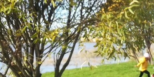 3-комн квартира улица Седова, 80