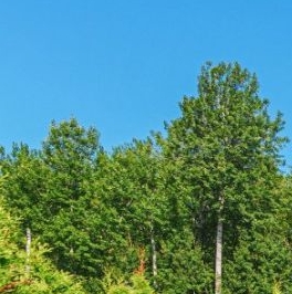 Продажа дома пос. Солнечное, улица Средняя, 8к2