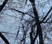 Продать Квартиры вторичка Маленковская улица, 12   