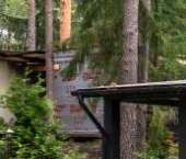 Продать Дачи, коттеджи, загородные дома пос. Репино   