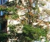 Продать Квартиры вторичка улица Вавиловых, 15К1   