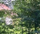 Продать Дачи, коттеджи, загородные дома Дружба дачный потребительский кооператив, переулок Низовой   