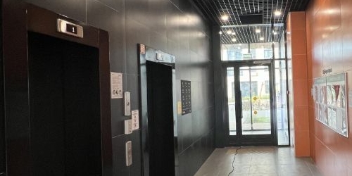 2-комн квартира Зеленый проспект, 103