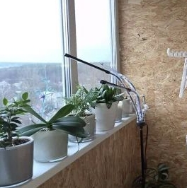 Продажа 2-комн квартиры на вторичном рынке Сходня мкр, улица Ленинградская, 3к1