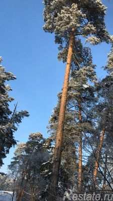 Продажа дома Быково, 2-й Вялковский пер,  д. 30