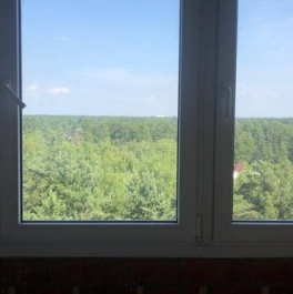 Продажа 1-комн квартиры на вторичном рынке Зелёный, Школьная улица,  д. 9