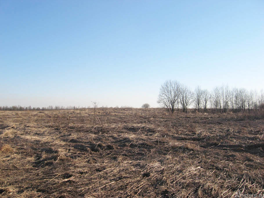 Продажа земли д. Большой Сабск