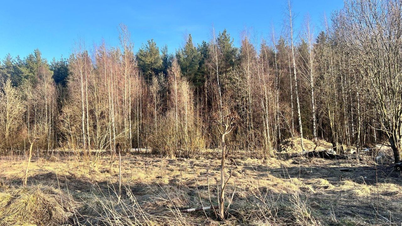Продажа земли Рыжики кп, Соржа-Рыжики массив, улица Садовая