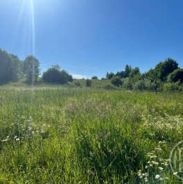 Продажа земли Екатериновка массив Продажа земли Екатериновка массив