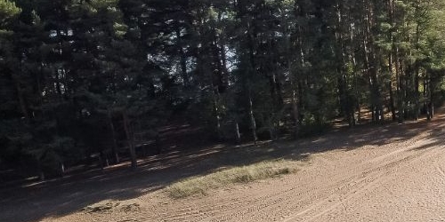 Студия Сестрорецк, проспект Тарховский, 24В