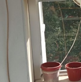 Аренда 1-комн квартиры на вторичном рынке пос. Сосново, улица Береговая, 39