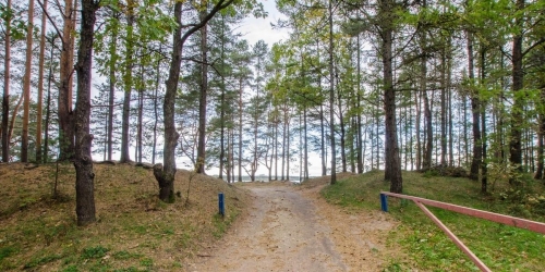 2-комн квартира Сестрорецк г, Всеволода Боброва ул ,  д. 30