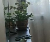 Продать Квартиры вторичка Коровинское шоссе, 24К1   