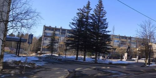1-комн квартира Пересвет, улица Королева, 10