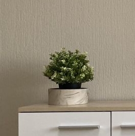 Аренда 1-комн квартиры на вторичном рынке Жуковский, улица Семашко, 1 Аренда 1-комн квартиры на вторичном рынке Жуковский, улица Семашко, 1