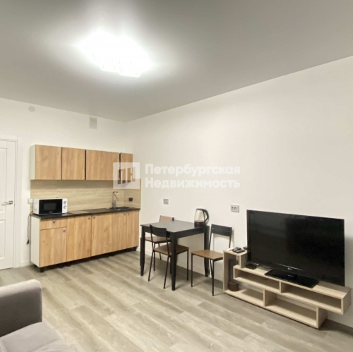 Студия пр-кт Ветеранов, д 202 к 1