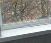 Сдать в аренду Квартиры вторичка Мытищи, Новомытищинский проспект, 52   