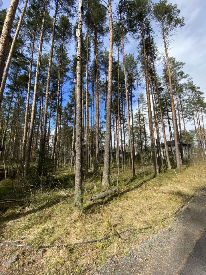 Продажа земли Варколово кп, улица Центральная