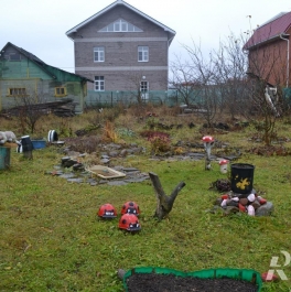 Продажа земли Александровская (Пушкинский р-н) п