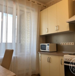 Аренда 1-комн квартиры на вторичном рынке Новое Девяткино дер., Новое Девяткино дер., д. 6 Аренда 1-комн квартиры на вторичном рынке Новое Девяткино дер., Новое Девяткино дер., д. 6