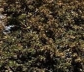 Продать Квартиры вторичка Открытое шоссе, 6К13   