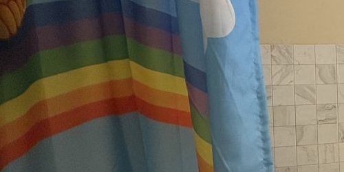 1-комн квартира улица Академика Павлова, 23