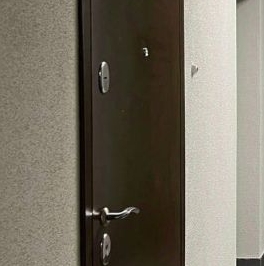 Продажа студии пос. Янино-1, улица Голландская, 5