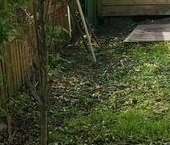 Продать Дачи, коттеджи, загородные дома Петергоф, улица Лесная, 101   